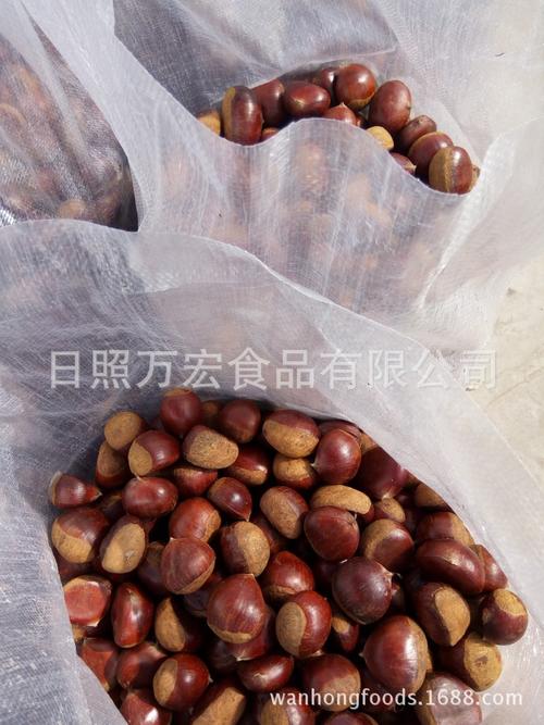 日照海產品冷藏儲存全攻略 從產地到餐桌的鮮味守護